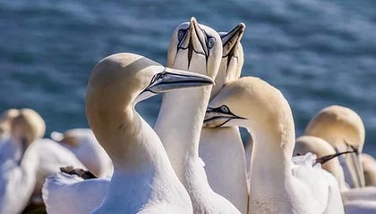 乐鱼官方网址——畅享极致娱乐体验的首选平台