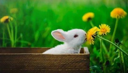 开云体育入口：让热爱体育的你在安全与乐趣之间找到新尺度